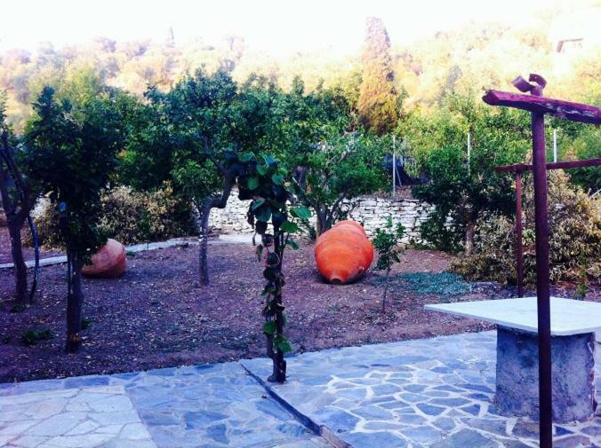 Villa AlexandraPaleo Trikeri エクステリア 写真